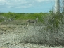 Bonaire 2009