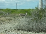 Bonaire 2009