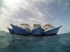 DCIM101GOPRO